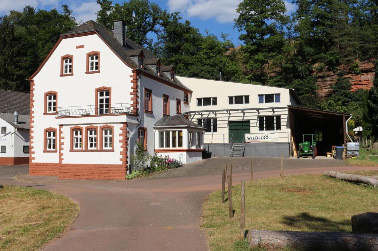 Gaestehaus Herrenmuehle Freudenburg (Rhineland-Palatinate) Exterior foto